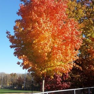 Meet your Posher, Vicki